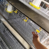 Cage de couvaison de type H neuve, directement de l'usine, en acier galvanisé, facile à installer, gain de place, pour poussins, 1 ensemble, prix bas