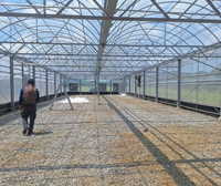 Serre multi-chapelles en verre pour la culture de fleurs et légumes – Système de serres agricoles