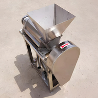 Commerciële Mango, Gember, Acaibes En Sinaasappelsapmachine Met Zeer Efficiënte Fruitpulpblender