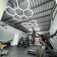 Vente directe d'usine 110V ~ 220V blanc/blanc chaud lumière LED conception hexagonale pour alimentation ca de plafond de garage