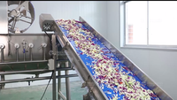 Fengxiang merk 304 roestvrijstalen verse salade verwerkingslijn 5000kg/u automatische groente- en fruitwas- en schilmachine