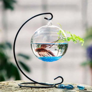 Réservoir de poissons de bureau Betta <span class=keywords><strong>Aquarium</strong></span> <span class=keywords><strong>Double</strong></span> réservoir de poissons en verre transparent suspendu - Product Image 5
