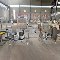 Nouvelle machine d'enrobage automatique Yunquan 220V pour sésame, morceaux de cacahuètes et nuggets de poulet