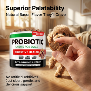 Probióticos para mascotas para perros, enzimas digestivas, tratamiento para la salud intestinal, masticables, alivio antidiarrea, suplemento de fibra prebiótica, probióticos para perros - Product Image 5