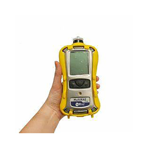 เครื่องตรวจจับก๊าซหลายชนิดแบบพกพา รุ่น PGM-6208 / PGM-6228 / PGM62XX  6 ชนิด พร้อมปั๊มและรุ่นแบบกระจายก๊าซ - Product Image 1