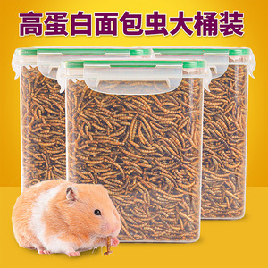 <b>Dried</b> <b>Mealworms</b> 4L Plastic Container For Hamsters Reusable Small Animal Feeder - Product Image 2