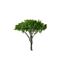 Senlin Train Modèle Aménagement Paysager DIY à la main mousse micro-paysage décoration accessoires Fil fleur arbre-floconneux vert moyen