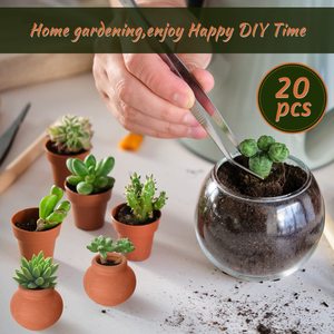 Mini <span class=keywords><strong>Pot</strong></span> <span class=keywords><strong>de</strong></span> jardinière <span class=keywords><strong>en</strong></span> <span class=keywords><strong>terre</strong></span> cuite avec trou <span class=keywords><strong>de</strong></span> Drainage, <span class=keywords><strong>bricolage</strong></span> artisanal, forte Absorption d'eau - Product Image 5