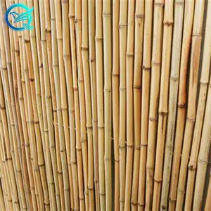 Rideau de clôture en bambou, livraison gratuite, 14-16mm, lien en chaîne, dentelle et clôture de projection de jardin