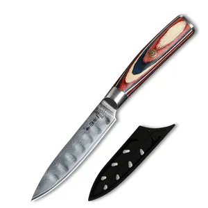 Xingye couteau à fruits damas à manche en bois 67 couches Vg10 acier à haute teneur en carbone 4 pouces utilitaire parage de petite poche avec gaine