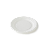 Assiette ovale jetable compostable en canne à sucre blanche de haute qualité de 9 pouces avec logo personnalisé