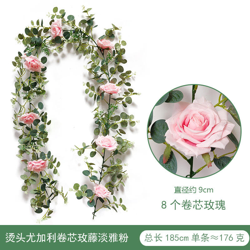 1,85 mètres de Roten Tendril