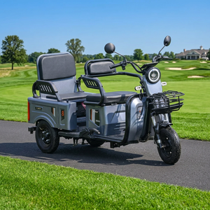 Tricycle électrique cargo à 3 roues 60V 1000W à carrosserie ouverte <span class=keywords><strong>avec</strong></span> batterie au lithium, cadre en fer, 20 km/h, pour usage passagers - Product Image 4