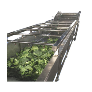 Lavadora de Frutas y Verduras Pequeña de Alta Calidad, Fácil de Usar, Precio de Venta - Product Image 1