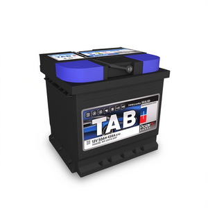 Nueva Batería Polar para Auto, 12V 50Ah 450A, Sellada y Libre de Mantenimiento, Vesna 0402-VS50L1 - Product Image 3