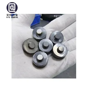 China Manufacturer Makes K10 Carbide Wear-resistant Parts D19.2*9.95 With Small Carbide Punches