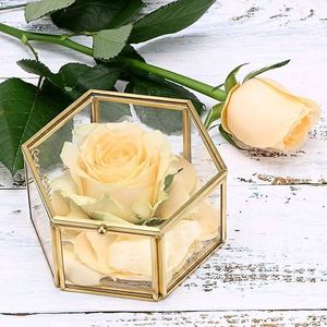 Caja de Joyería Hexagonal de Vidrio de Estilo Vintage con Detalles en Latón Dorado, Organizador de Joyas Transparente, Estuche Decorativo de Estilo Retro para Tocador - Product Image 2