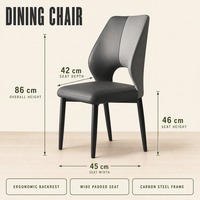 Chaises de restaurant en métal, chaise de salle à manger avec structure en acier, style industriel pour café, hôtel, bistrot