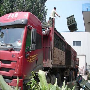 Lames de pathologie humaine de science médicale Offre Spéciale, ensemble de lames préparées au Microscope biologique de microscopie médicale - Product Image 6