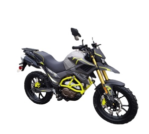 CHINA <strong>MOTORCYCLES</strong> <strong>250CC</strong> <strong>MOTORCYCLE</strong> FUEGO <strong>TEKKEN</strong> 250 No.22060601 - Product Image 1
