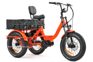 Vente en gros vélo électrique tricycle gras à trois roues tekerlekli elektrikli vélo électrique à 3 roues Bafang vélo cargo électrique à moteur central - Product Image 4