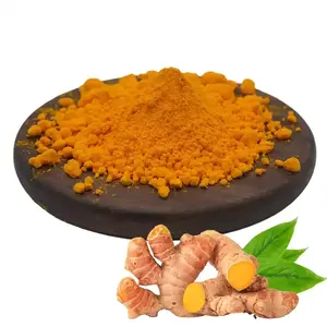 Curcumine Plant Extract Kurkuma Wortel Extract Poeder Curcumine 95% Natuurlijke Kurkuma Poeder