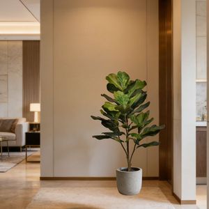 Plantes artificielles de figuier à feuilles de violon de haute qualité à <span class=keywords><strong>prix</strong></span> de gros, décoration moderne pour la maison, plante artificielle en pot de type Lyrata - Product Image 4