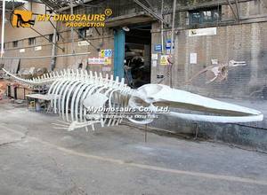 MY Dino decoración <span class=keywords><strong>de</strong></span> techo colgante tamaño real Animal <span class=keywords><strong>Ballena</strong></span> Azul esqueleto para la venta - Product Image 3