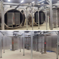 Industriële 2000 kg automatische fruitlyofilisator vriesdroogmachine SUS304 roestvrij staal 600 kW vermogen uitstekende voedselverwerking