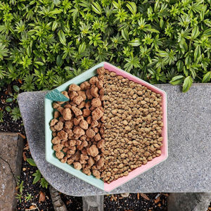 Suelo hortícola de <span class=keywords><strong>Akadama</strong></span> para suculentas, cactus y orquídeas, promueve un fuerte desarrollo de raíces y aireación - Product Image 2