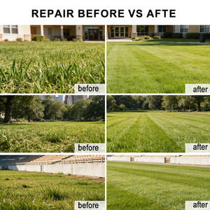 Snelle verzending Mulch systeem rubberen wiel grasmaaier steile helling grasmaaier 530mm 4-takt op afstand bestuurbare grasmaaier - Product Image 4