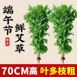 Fresh mugwort for the <b>Dragon</b> Boat Festival is hung on doors and windows to repel mosquitoes and bring good fortune. Hand-tied, - Product Image 4