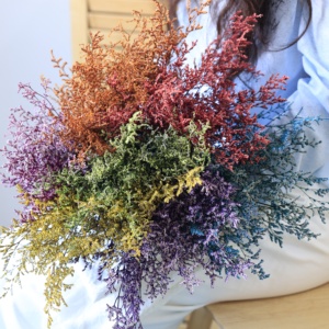 Herbe de Limonium Naturelle Préservée, Sans Nécessité d'Eau, Statice Séchée Éternelle, Décoration Bohème pour Mariage, Fête des Mères, Vase d'Intérieur - Product Image 1