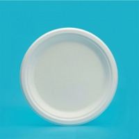 Piring Sajian Sekali Pakai Warna Putih untuk Pesta Ulang Tahun, Katering, dan Bawa Pulang, Harga Murah dari Pabrik Cina