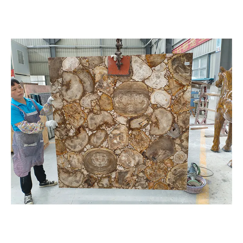 자연 화석 돌 광택 석화 나무 슬래브/인공 석재 나무 나무 슬래브