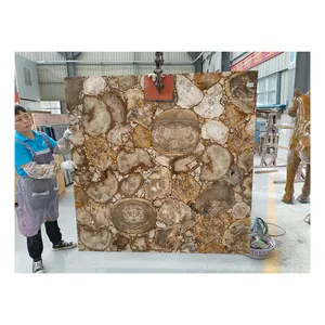 Natural fossil stone polished petrified wood slab/ artificial petrified wood tree slab