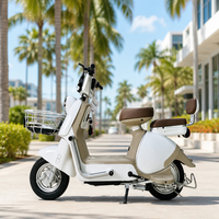 Scooter électrique élégant et écologique pour femmes et hommes, longue autonomie, cyclomoteur électrique portable pour les déplacements urbains, prix d'usine