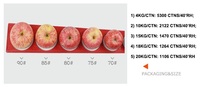 Export Grade 2020 Nieuwe Crop Verse Rode Fuji Apple Fruit Honeycrisp
