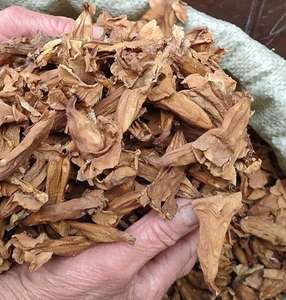 Wu <span class=keywords><strong>Tong</strong></span> <span class=keywords><strong>Hua</strong></span> ดอกไม้ใช้สมุนไพรแห้งรอยัลเพาโลเนีย - Product Image 3