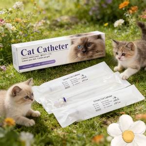 Kedi Kateteri Veteriner Üriner Kateter/Toptan Yumuşak Evcil Hayvan İdrar Kateteri/Stiletli Yüksek Kalite - Product Image 3