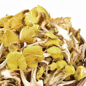 Vente en gros Chanterelle séchée jaune champignon comestible déshydraté Yunnan Cantharellus Cibarius Ji You Jun - Product Image 6