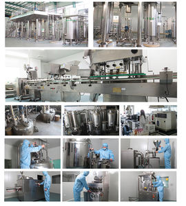 مسحوق عشبي بعلامة خاصة 12 في 1 من ماتاكي, Maitake Cordyceps ، ريشي ، تشاغا ، شيتاكي ، ليونز ، ماني ، مزيج مسحوق - Product Image 4