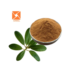 Wholesale High Quality <strong>Chinese</strong> Plant Natural Loquat Leaf Loquat Leaf <strong>Extract</strong> <strong>Powder</strong> - Product Image 3