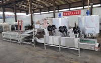 Ligne automatique de traitement des aliments pour machine à laver les prunes abricots et raisins secs Pasteurisateur Stérilisateur Sèche-linge/Production de nettoyeurs