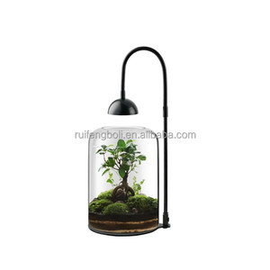 Terrarium en verre pour plantes avec ventilation LED, grand terrarium pour plantes avec ventilation pour plantes succulentes, 8,7 pouces de haut, <span class=keywords><strong>d</strong></span>écoration <span class=keywords><strong>d</strong></span>'<span class=keywords><strong>intérieur</strong></span> - Product Image 5