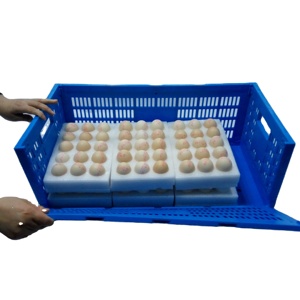 QS Large Mesh Storage Basket Collapsible Plastic Foldable Egg Crate Fruit Bread Stack Tote Moving Turnover Basket for Vegetables