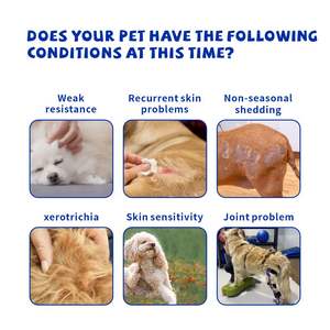 Pâte nutritive <span class=keywords><strong>multivitaminée</strong></span> pour chiens et chats Gel patte Suppléments de santé pour animaux de compagnie Vitamines pour le bien-être canin et félin - Product Image 6