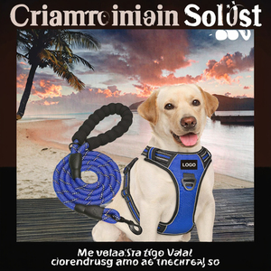 Conjunto de Correa y Arnés de Lujo para Perro, de Poliéster Sólido, con Logotipo de Marca Personalizado, Arnés Tipo Chaleco Antitirones para Perros Medianos/Grandes - Product Image 3