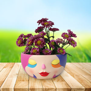 Visage avec <span class=keywords><strong>les</strong></span> <span class=keywords><strong>yeux</strong></span> <span class=keywords><strong>fermés</strong></span> Pot de fleur planteur succulent mignon Pots pour plantes succulentes planteur intérieur visage avec <span class=keywords><strong>les</strong></span> <span class=keywords><strong>yeux</strong></span> <span class=keywords><strong>fermés</strong></span> Pots de plantes - Product Image 6