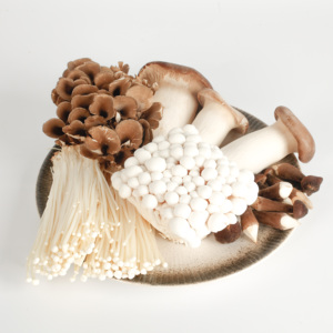 Nombre Botánico del Hongo Enoki Fresco Detan - Product Image 2